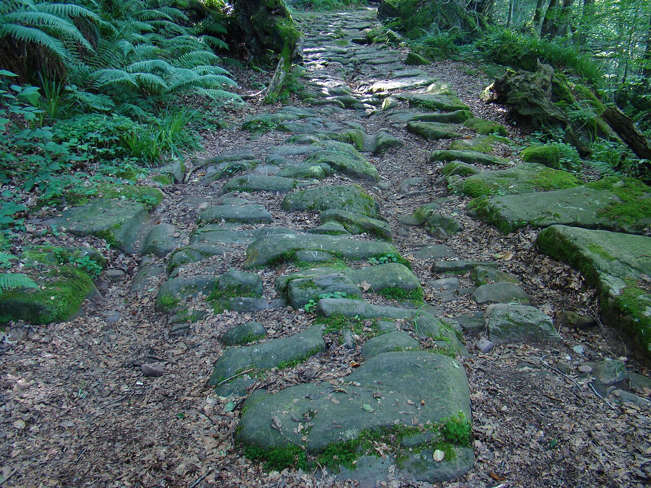 Pesquera, Cantabria