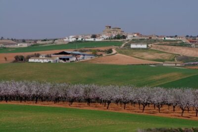 Pinarejo, Cuenca