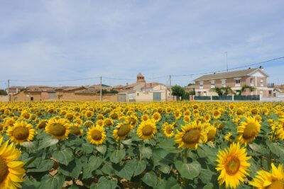 Población de Arroyo, Palencia