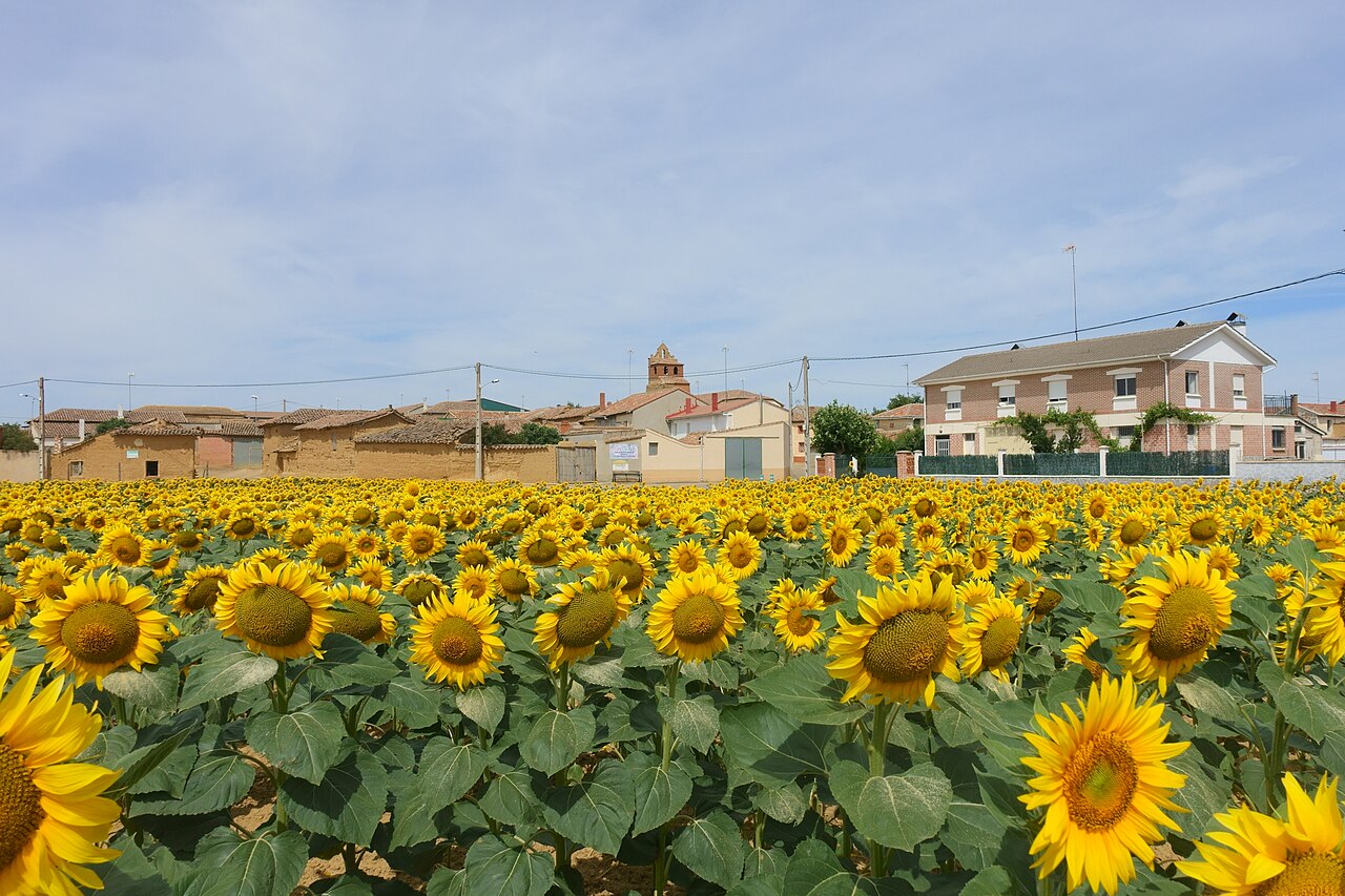 Población de Arroyo, Palencia