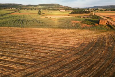 Pomar de Valdivia, Palencia