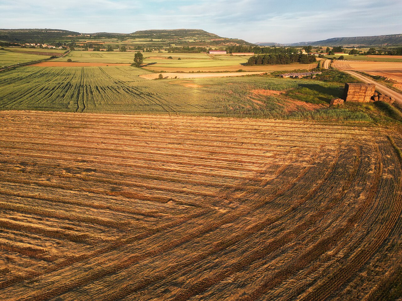 Pomar de Valdivia, Palencia