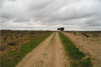 Pozorrubielos de la Mancha, Cuenca