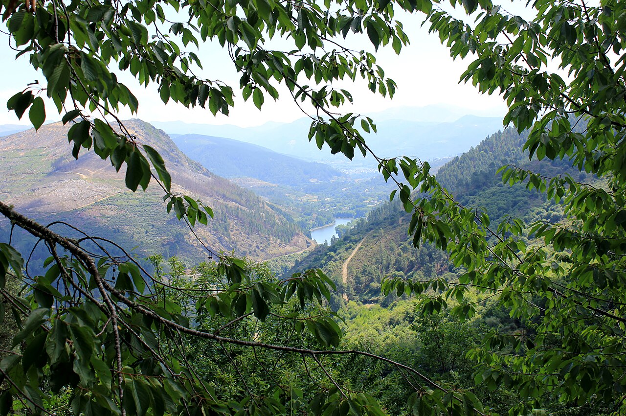 Ribas de Sil, Lugo