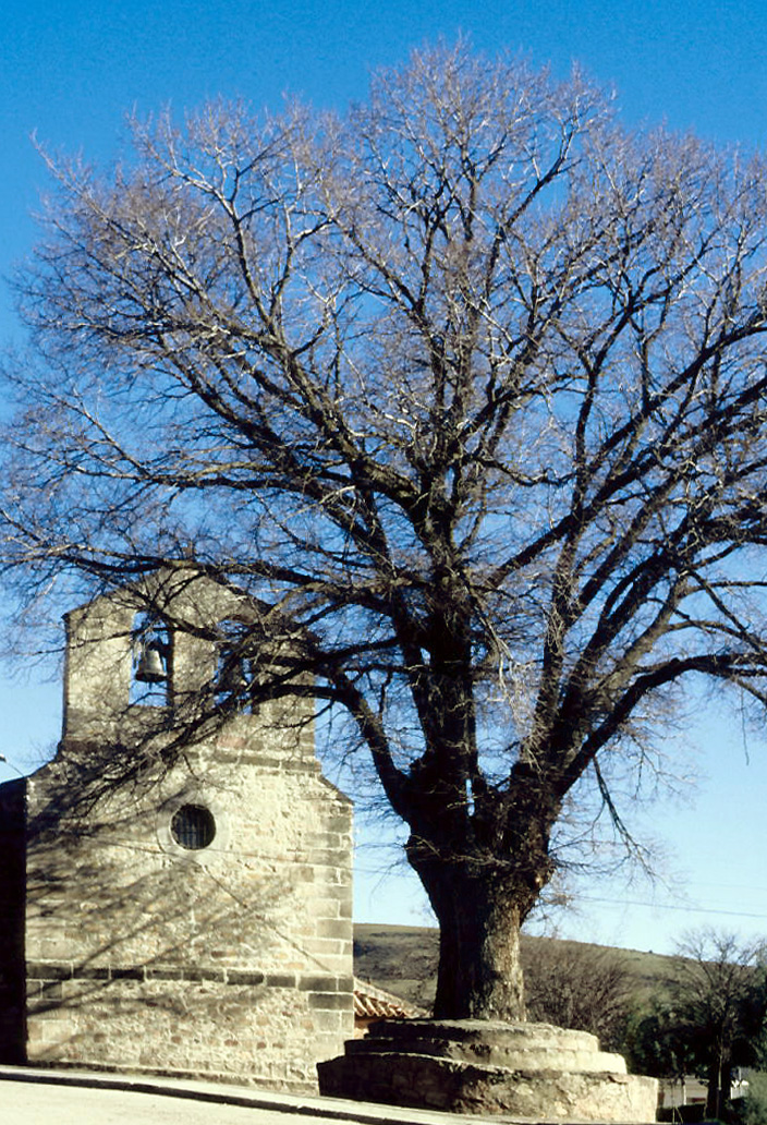 Rillo de Gallo, Guadalajara