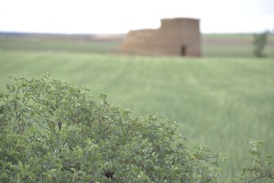 Roales de Campos, Valladolid
