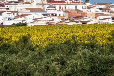 Rociana del Condado, Huelva