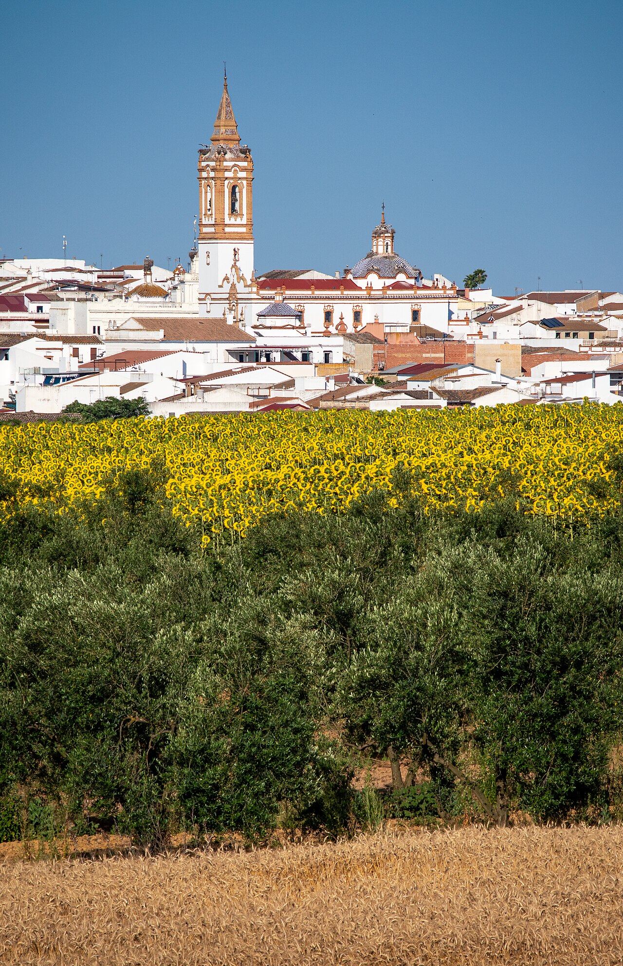 Rociana del Condado, Huelva