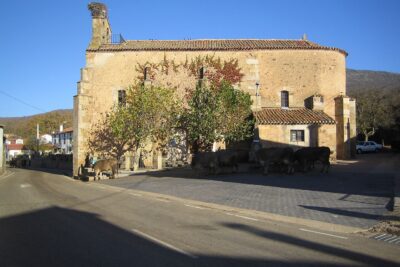 Rollamienta, Soria