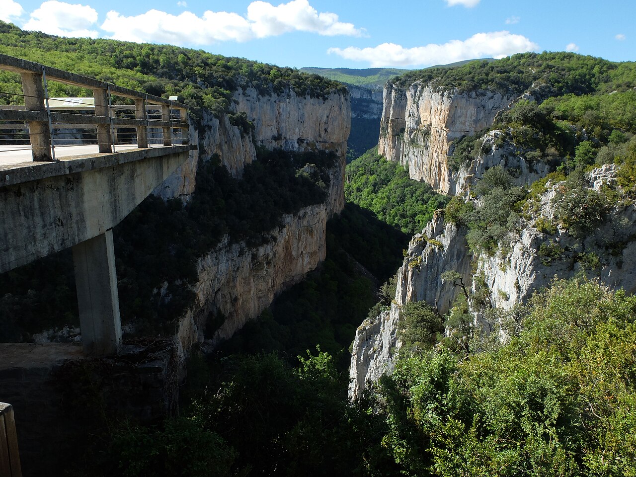Romanzado, Navarra