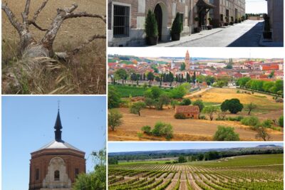 Rueda, Valladolid