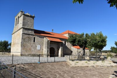 Salce, Zamora
