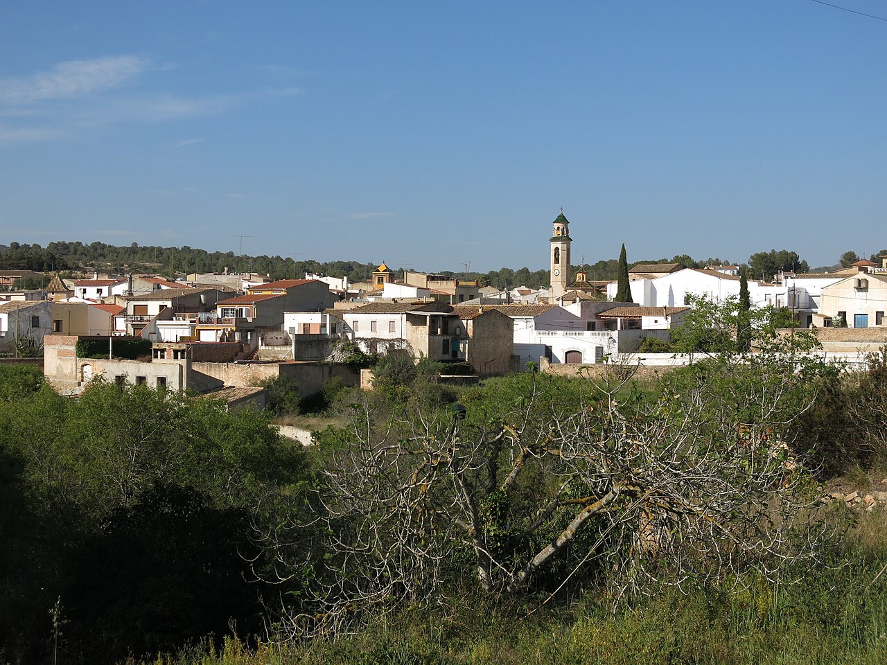 Salomo, Tarragona