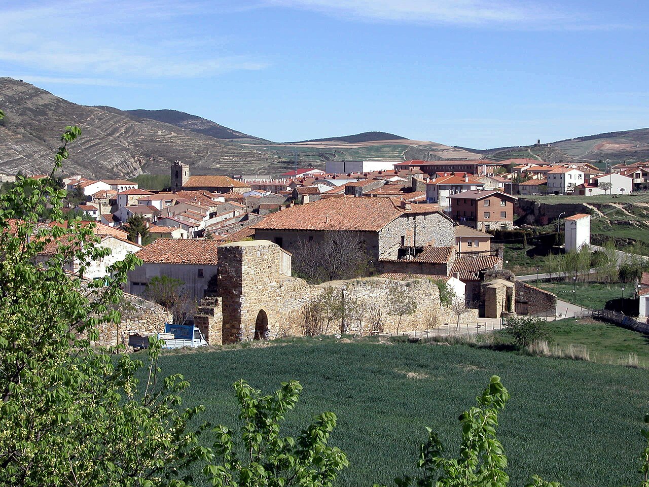 San Pedro Manrique, Soria