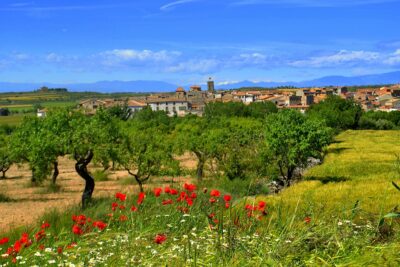 Tarroja de Segarra, Lleida