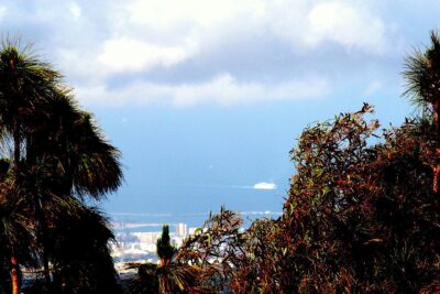 Tejeda, Las Palmas