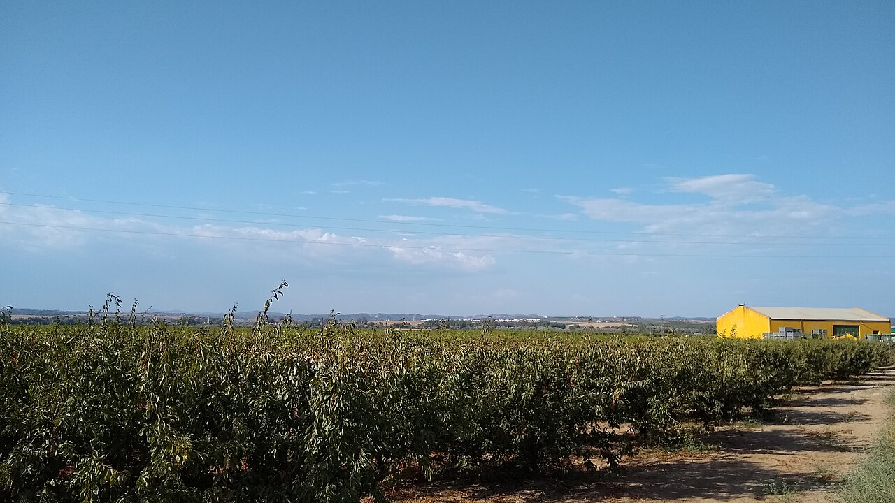 Tocina, Sevilla