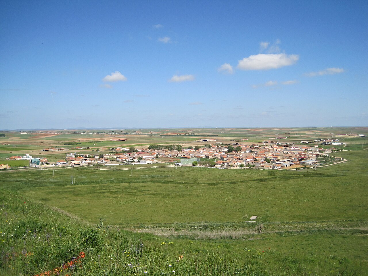 Torres del Carrizal, Zamora