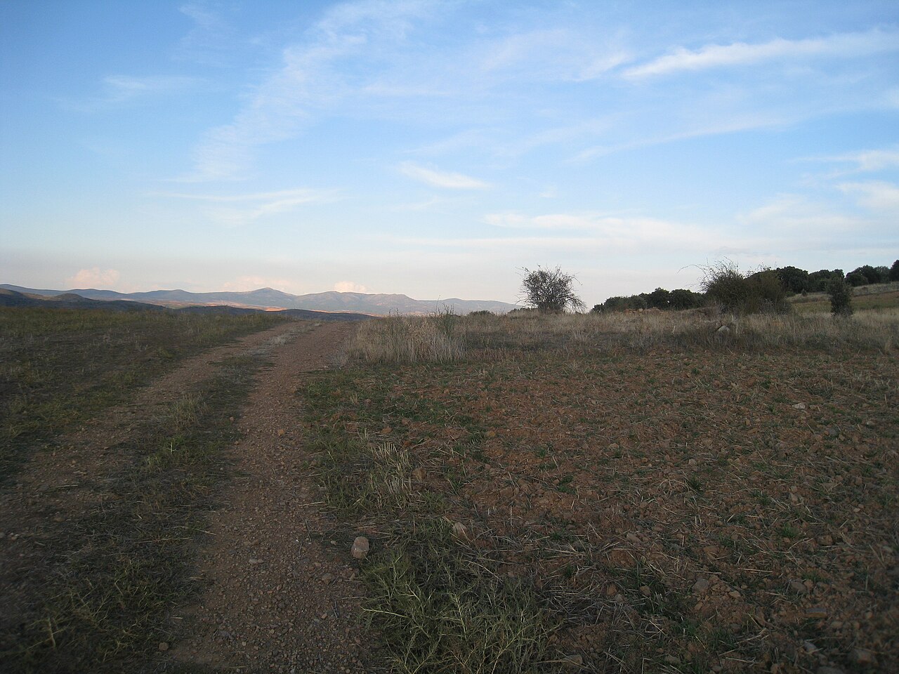 Torrijo de la Cañada, Zaragoza