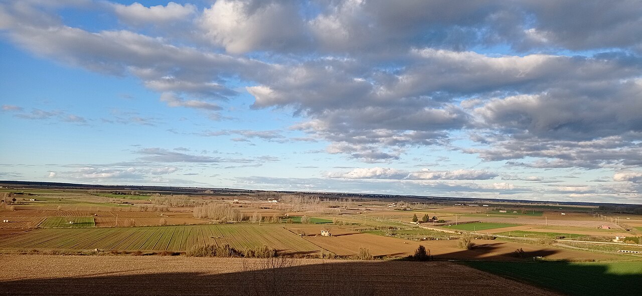 Valderas, León