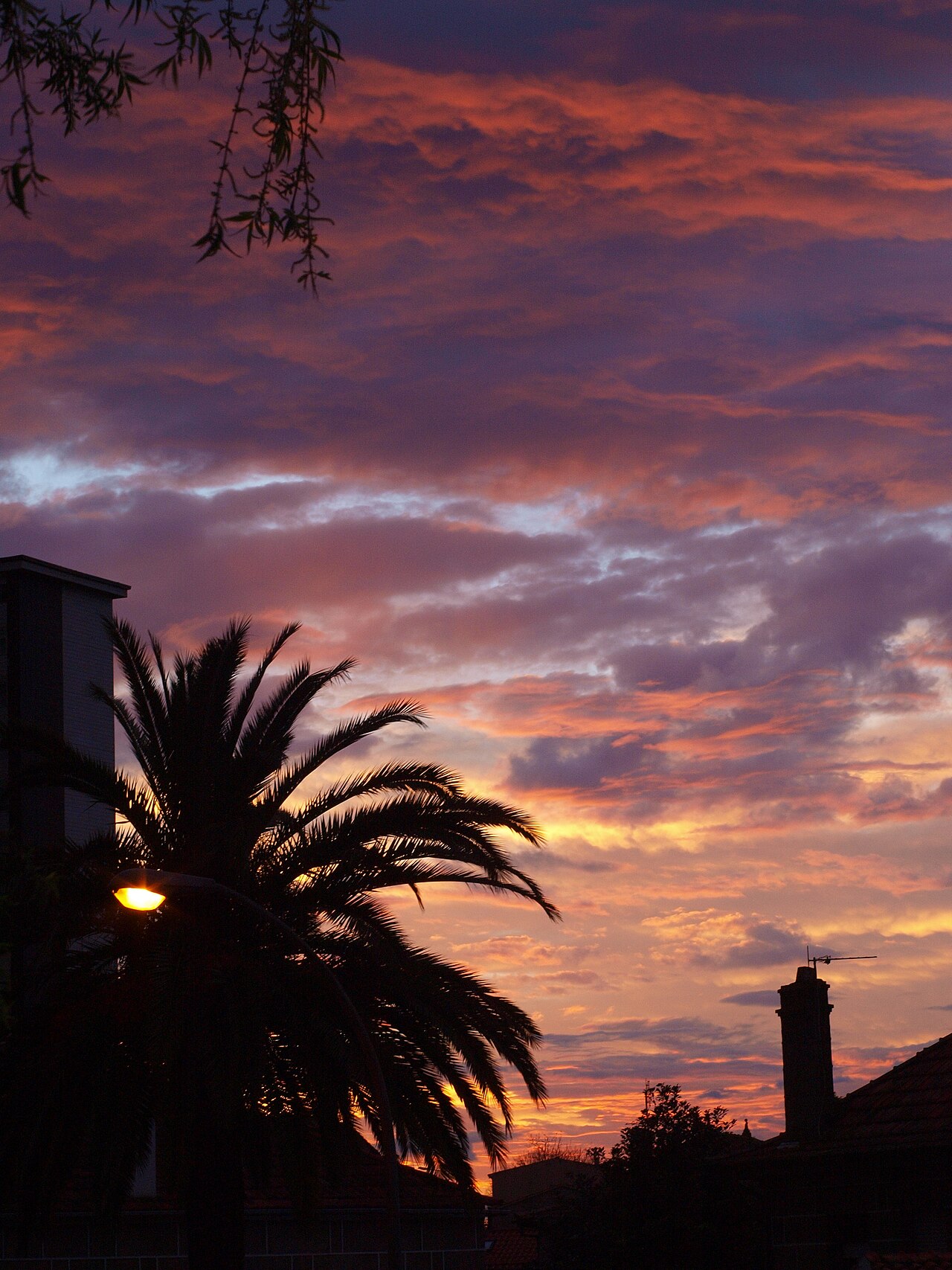 Vigo, Pontevedra
