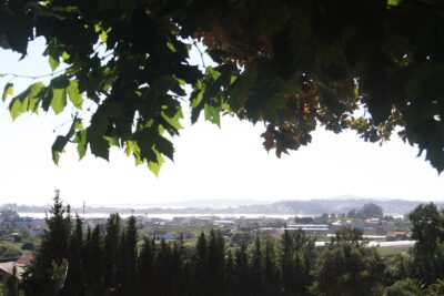 Vilanova de Arousa, Pontevedra