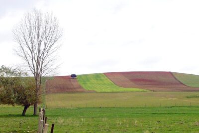 Villalba de los Llanos, Salamanca