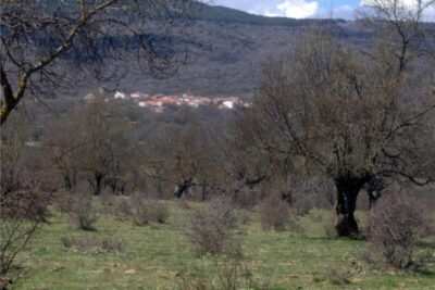 Villar del Ala, Soria