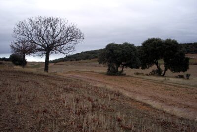 Villares de Órbigo, León