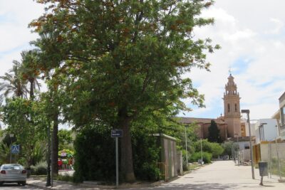 Vinalesa, Valencia