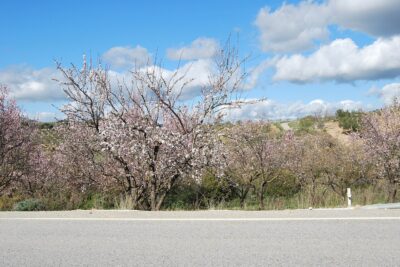 Yunquera, Málaga